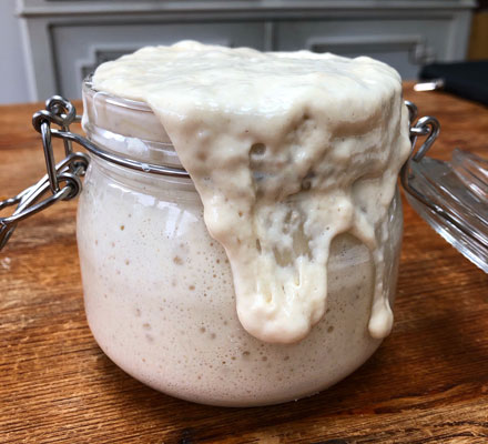 Sourdough starter