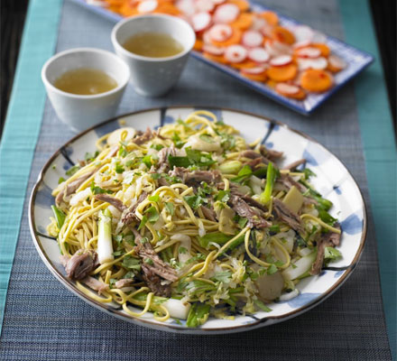 Duck & spring onion noodles