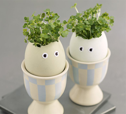 Crackin’ cress heads