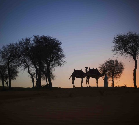 Romance in Ras Al Khaimah