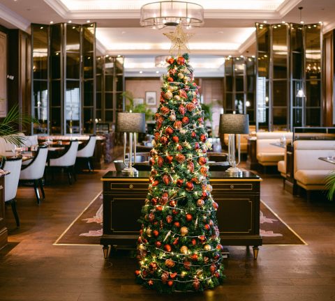 Celebrate the festive season this year at Al Habtoor City Hotel Collection