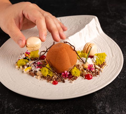 Dine in the heart of the kitchen at Social with Chef Carmine Faravolo
