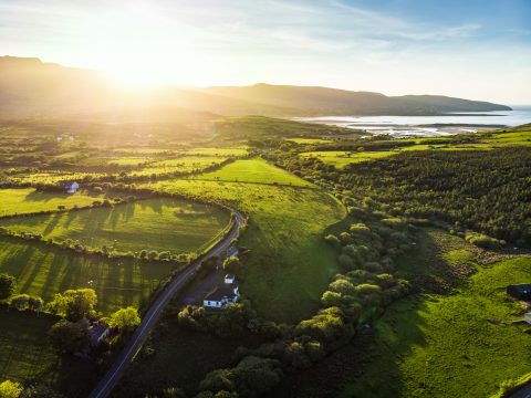 Enjoy the best of Irish food and drink