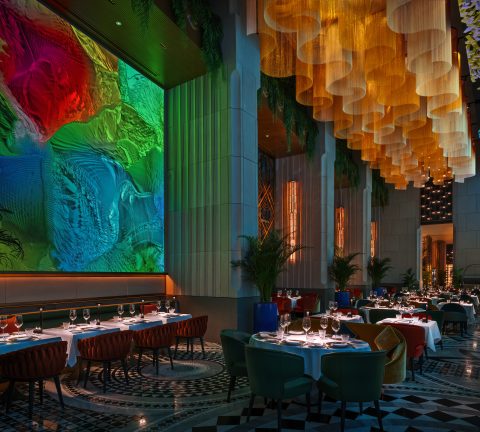 Unveiling Zenon, the AI-powered culinary playground